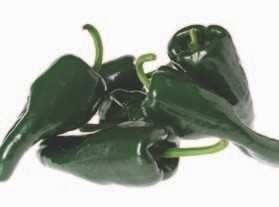 Don Matías. Chile Ancho Poblano. Seminis. 10 Mil Semillas.