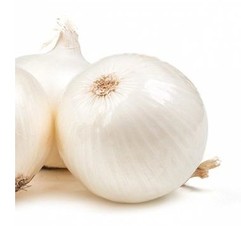 Grano Blanco. Cebolla Blanca Días Cortos. 1 Libra de Semillas.