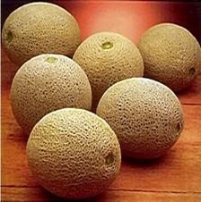 Torreón. Melón Cantaloupe. Caloro. 15 Mil Semillas.