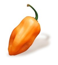 Chichén Itzá. Chile Habanero. Seminis. 10 Mil Semillas.