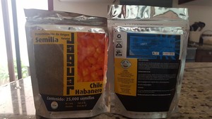 Jaguar. Chile Habanero. Variedad Certificada. 25 Mil Semillas.