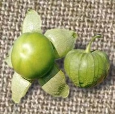 San Martín. Tomatillo. Caloro. 200 Mil Semillas.
