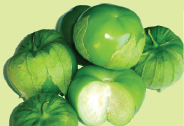 Querétaro. Tomatillo. Optimus Seeds. 1 Libra de Semillas.