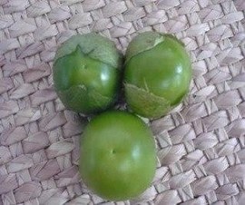 Verde Puebla. Tomatillo. Caloro. 1 Libra de Semillas.