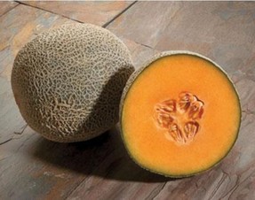 Orión. Melón Cantaloupe. Caloro. 15 Mil Semillas.