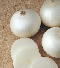 Stratus. Cebolla Blanca Días Cortos. Seminis. 100 Mil Semillas.