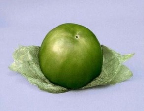 Premier. Tomatillo. Caloro. 200 Mil Semillas.