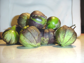Morado Plus. Tomatillo. Optimus Seeds. 100 Mil Semillas.