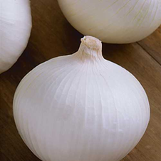 La Joya. Cebolla Blanca Días Cortos. Seminis. 100 Mil Semillas.