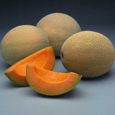 Acclaim. Melón Cantaloupe. Syngenta. 15 Mil Semillas.