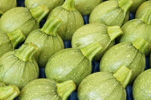 Roundzini. Calabaza Redonda. Caloro. 3 Mil de Semillas.