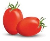 Shanty. Tomate Determinado. Hazera. 10 Mil Semillas.